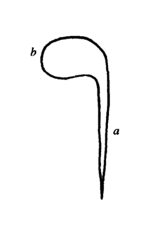 figura 1