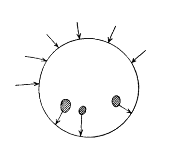 figura2