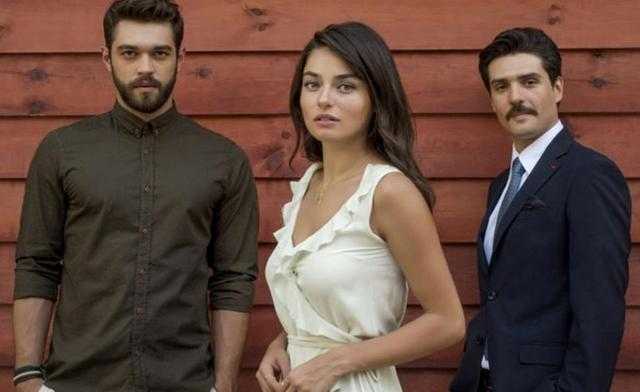 Afișul serialului Meryem