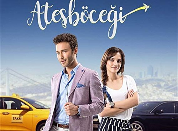 Afișul serialului Licurici