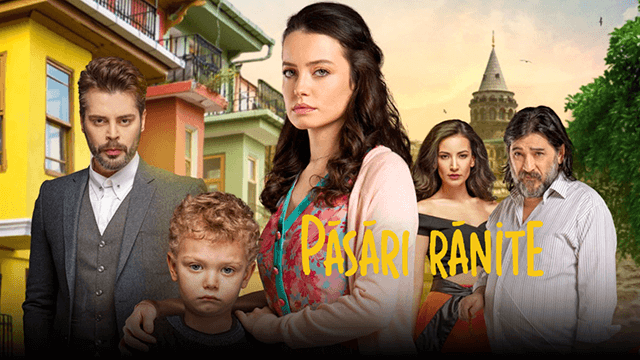 Afișul serialului Pasari ranite drama familie
