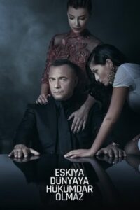 Afișul serialului In bataia inimii