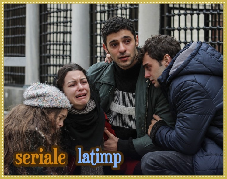 Afișul serialului Totul pentru familia mea / Frații mei